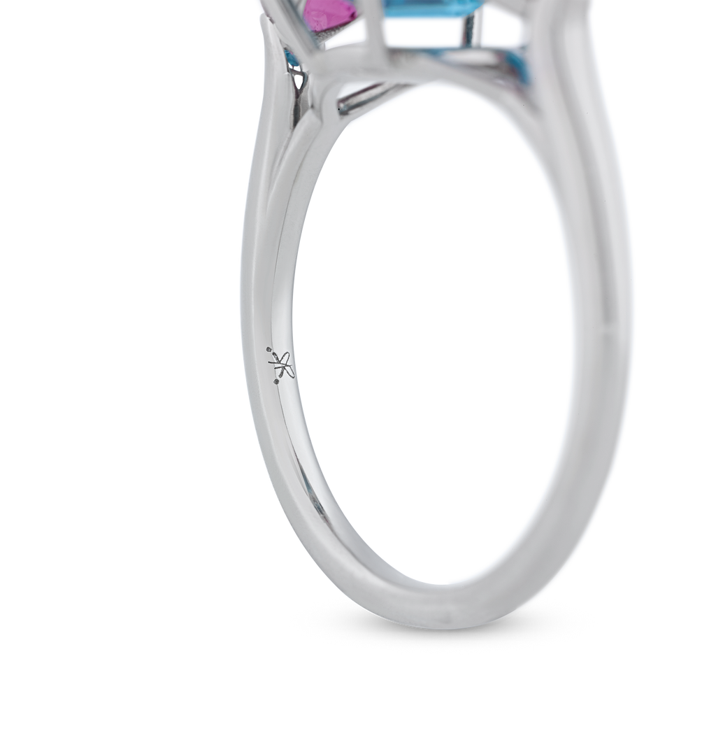 DIVE RIGHT IN RING