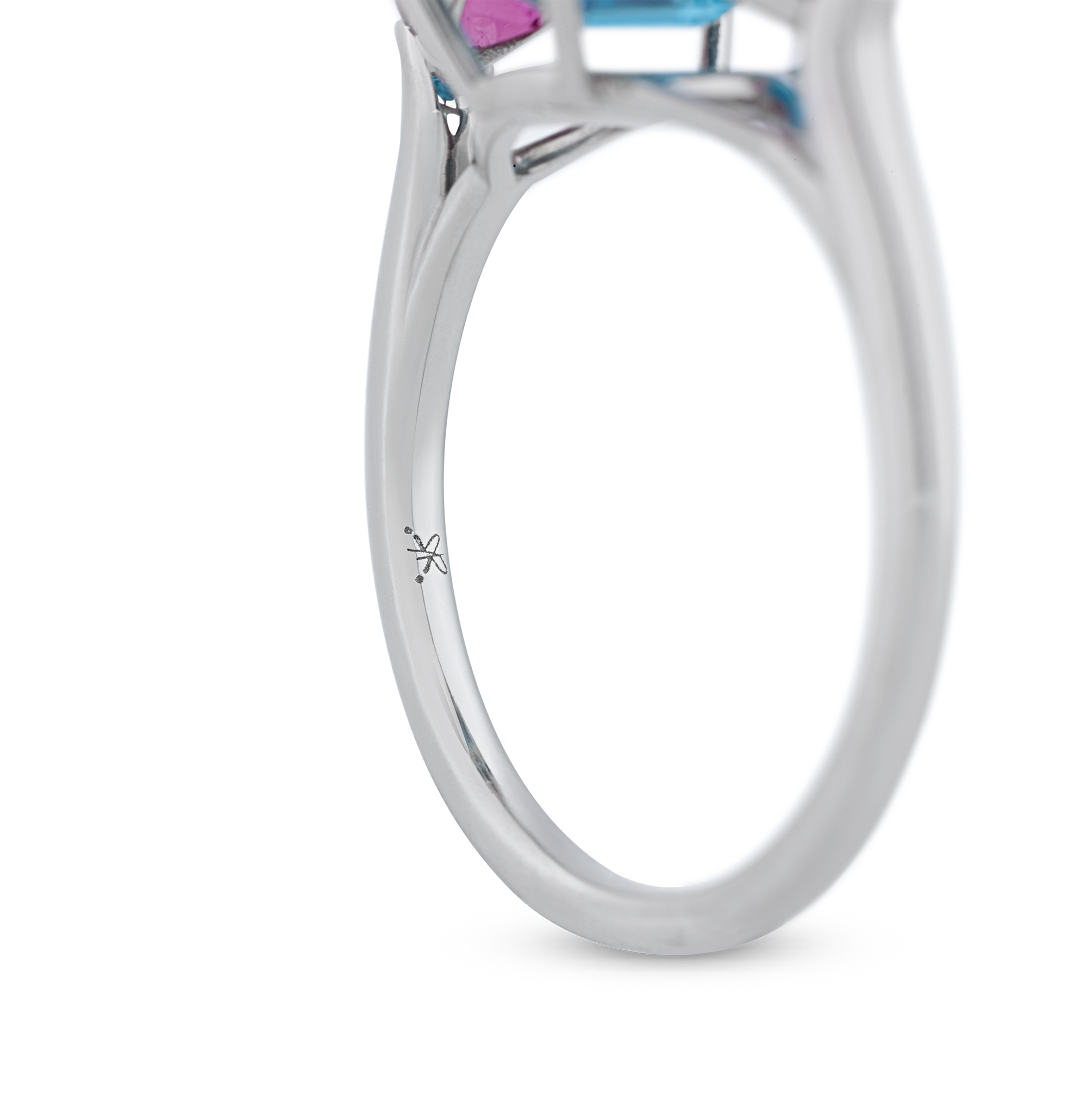 DIVE RIGHT IN RING